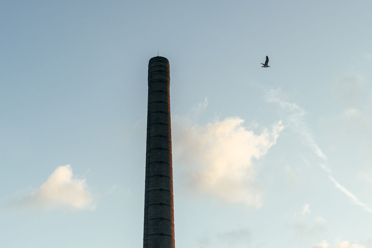 Loading... just a sec